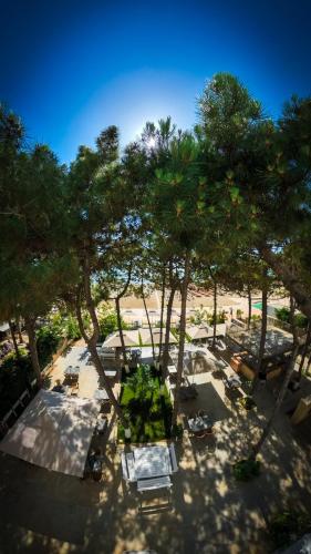 Hotel Andi