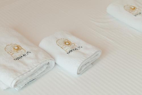 Primus Hotel
